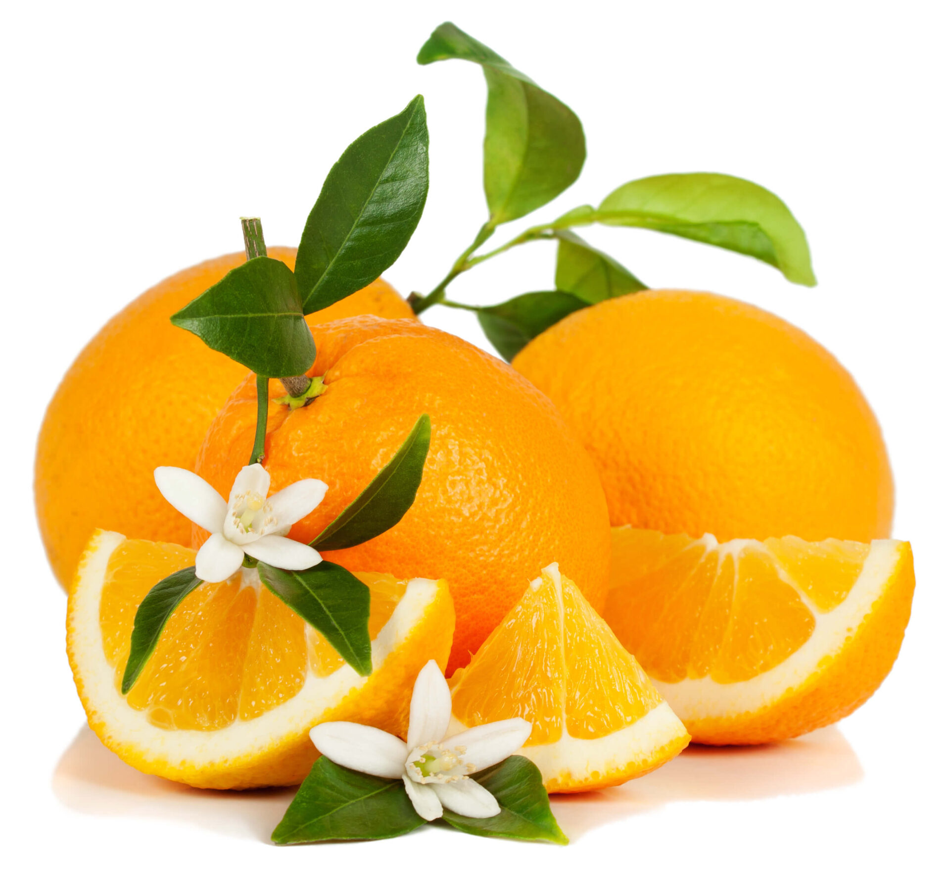 Whole oranges, orange blossoms and orange segments is representative of some of our flavor ingredients